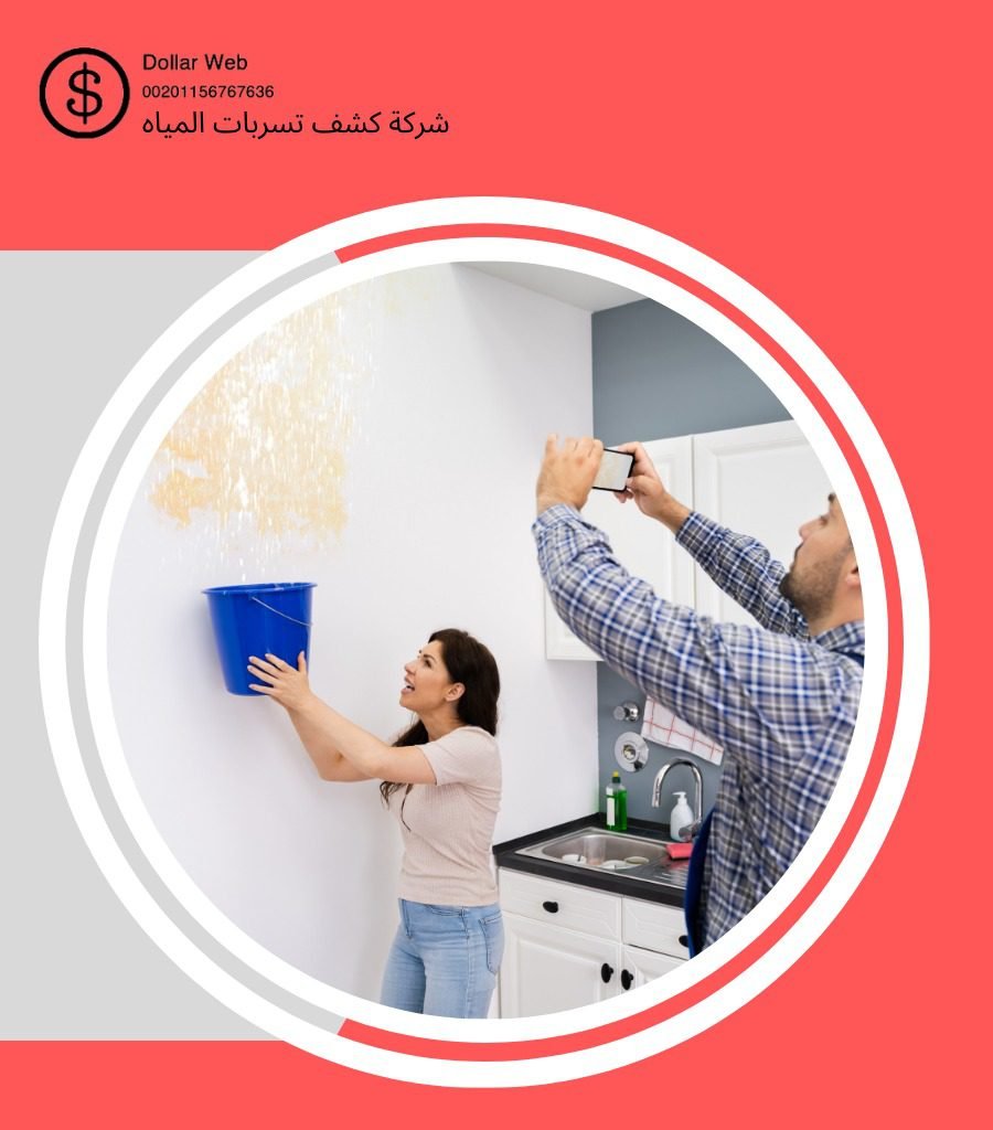 كشف تسربات حي الصفا