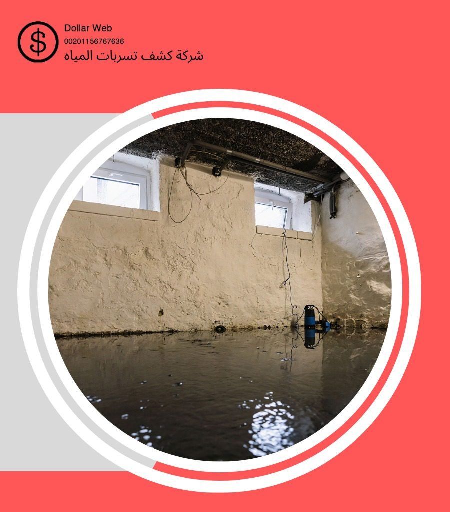 كشف تسربات حي النهضة