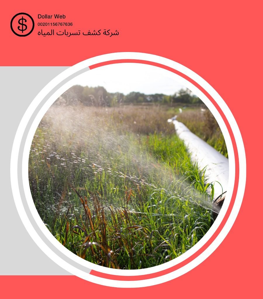 كشف تسربات حي الوزيرية