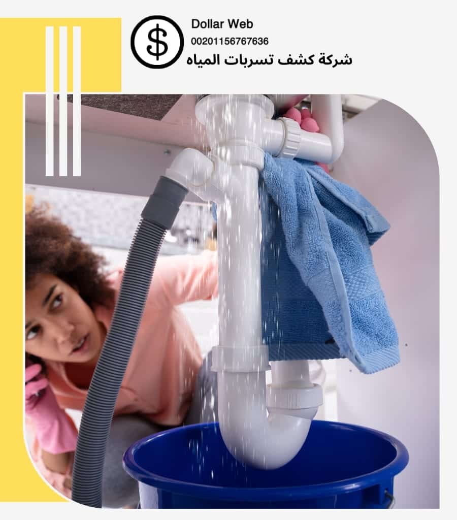 شركة كشف تسربات جدة