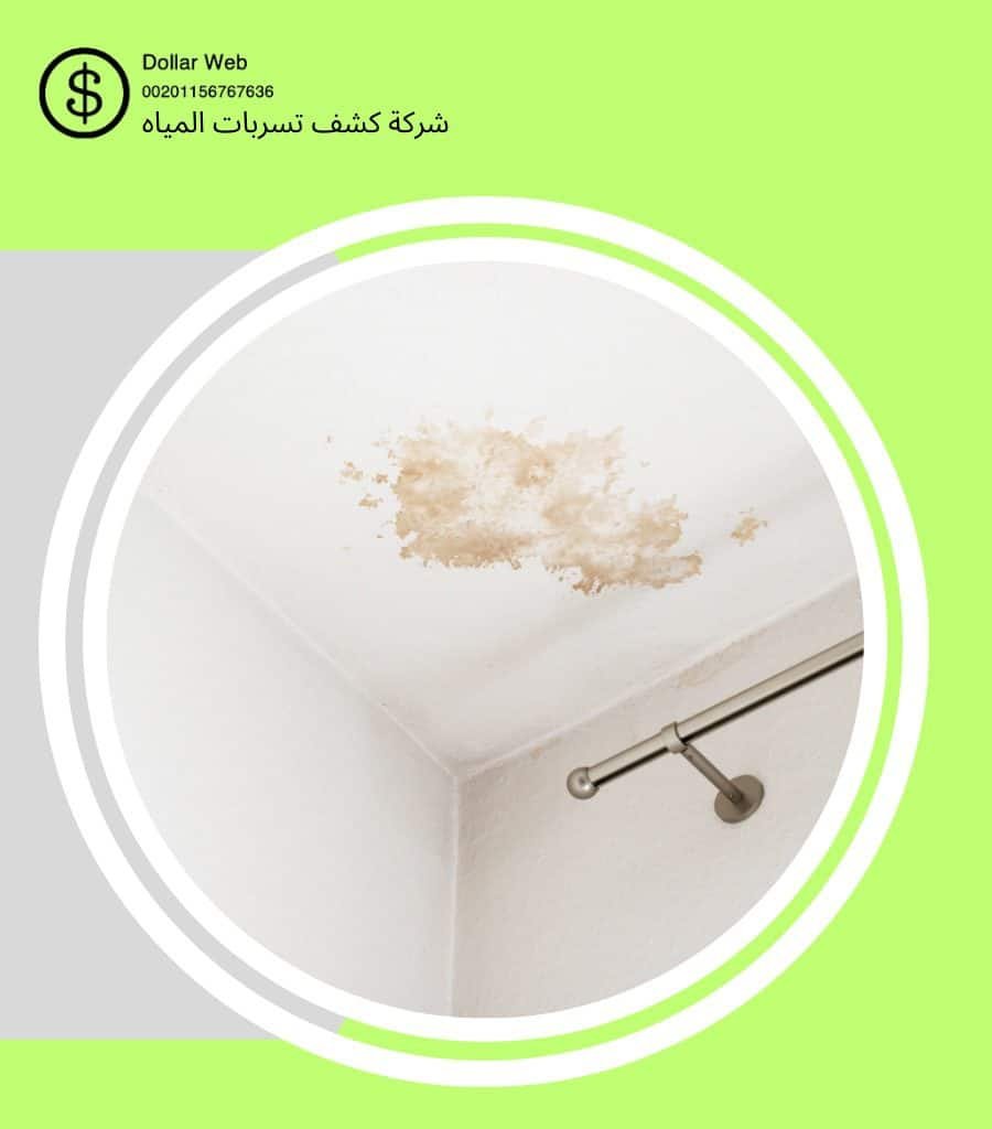 كشف تسربات حي البلد بجدة