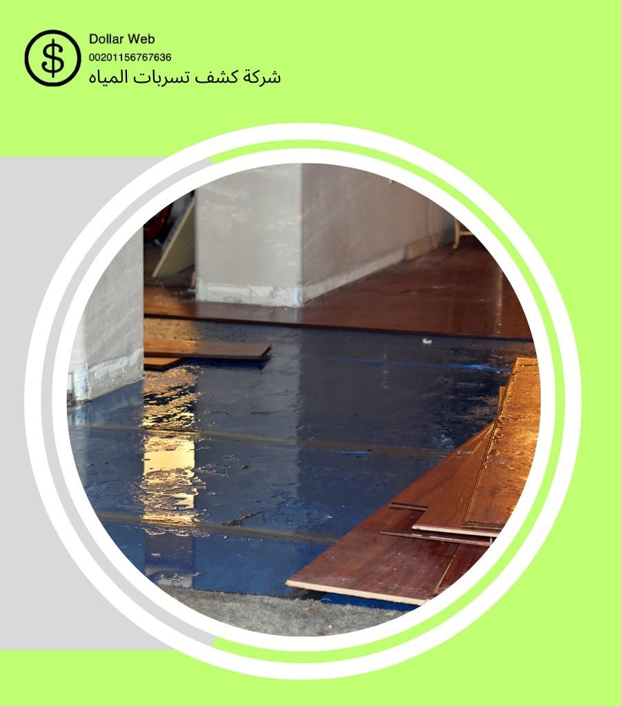 كشف تسربات حي البغدادية بجدة