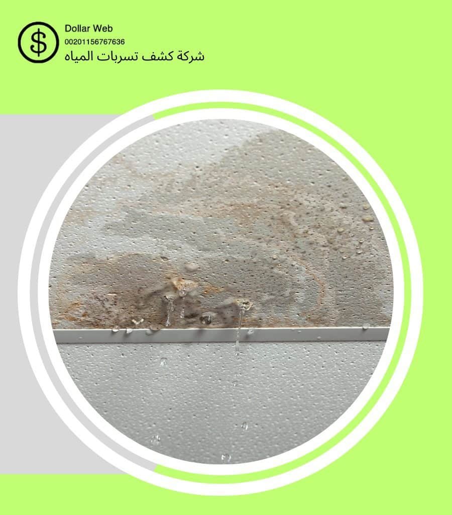 كشف تسربات حي الرويس بجدة