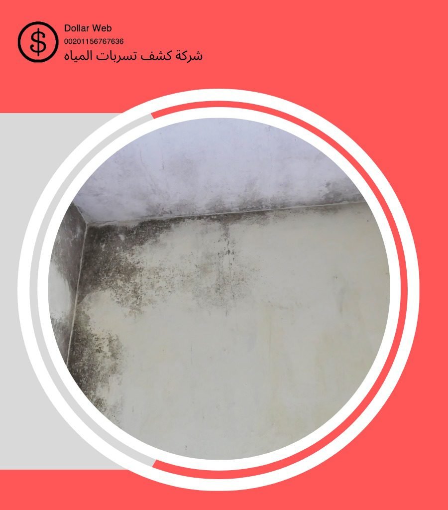 كشف تسربات حي العزيزية بجدة