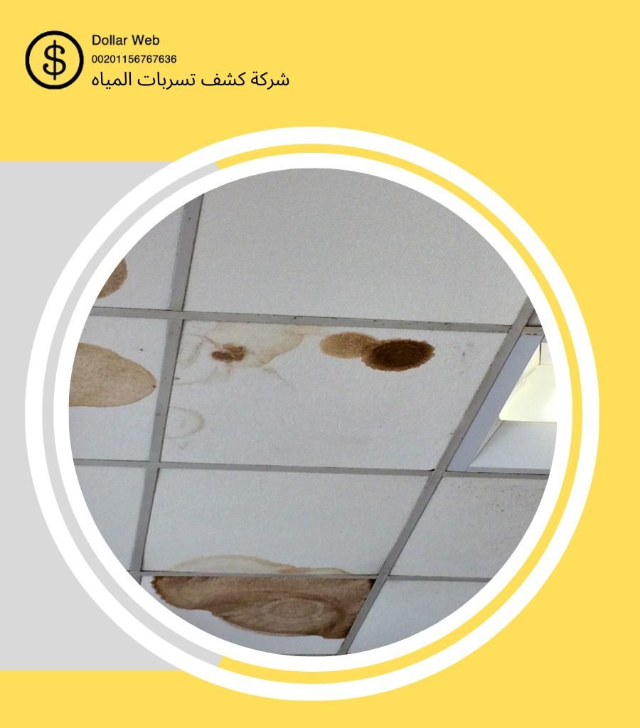 كشف تسربات حي الزاهرء بجدة