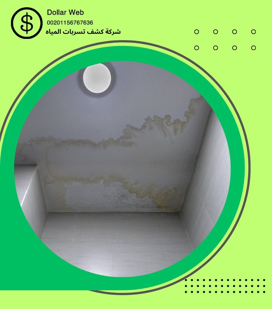 كشف تسربات حي الأمير فواز بجدة