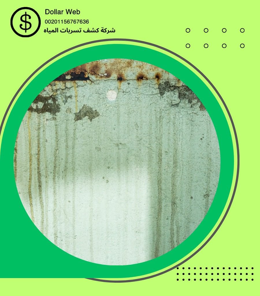 كشف تسربات حي البوادي بجدة