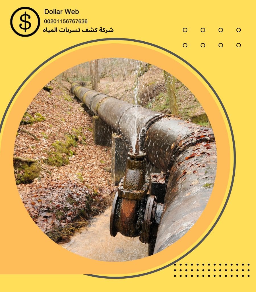 كشف تسربات حي النعيم بجدة