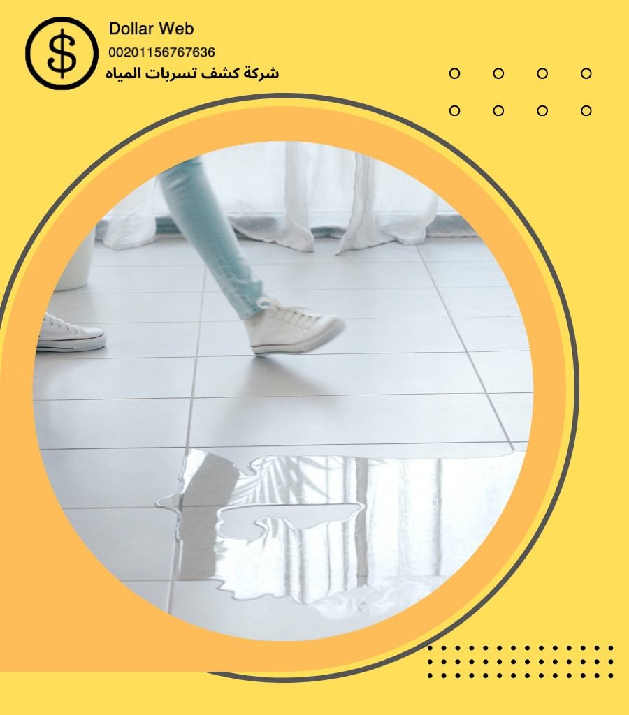 كشف تسربات حي النهضة بجدة