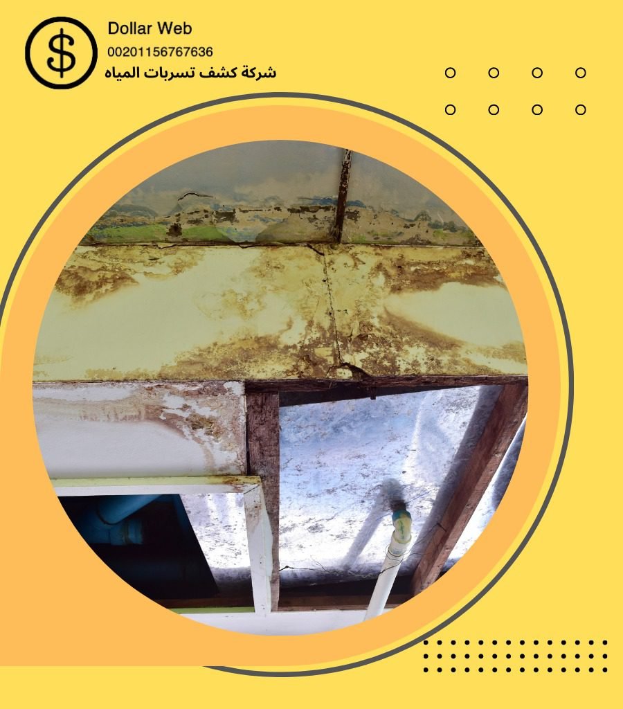 كشف تسربات حي البساتين بجدة