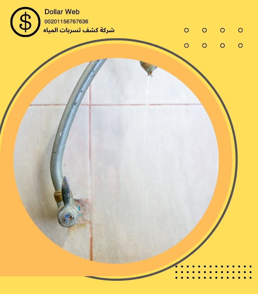 كشف تسربات حي المرجان بجدة