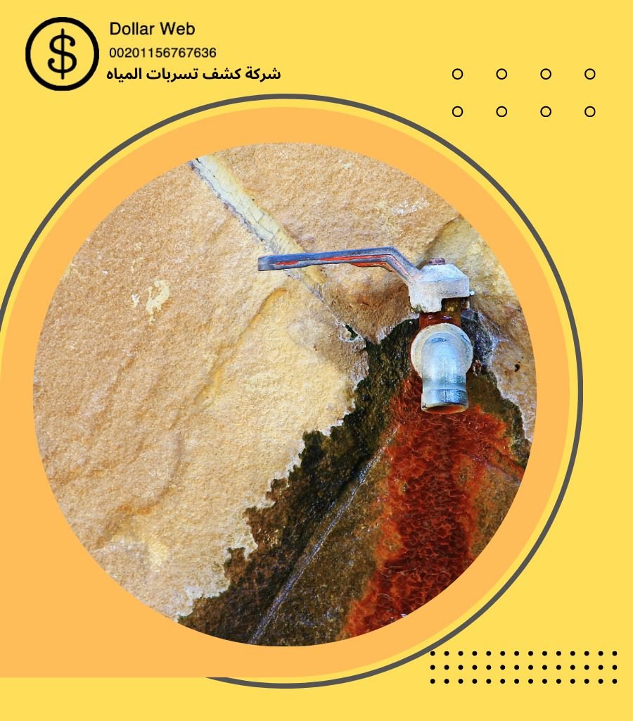 كشف تسربات حي الورود بجدة