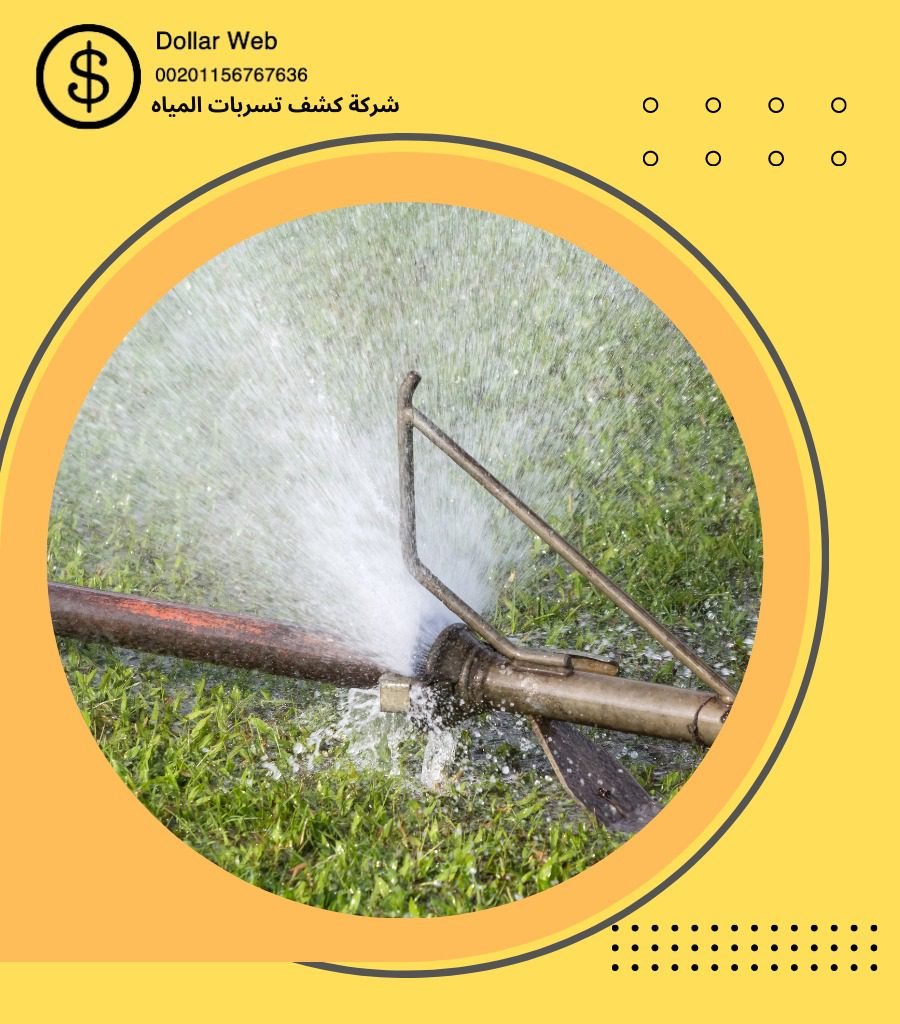 كشف تسربات حي الثغر بجدة