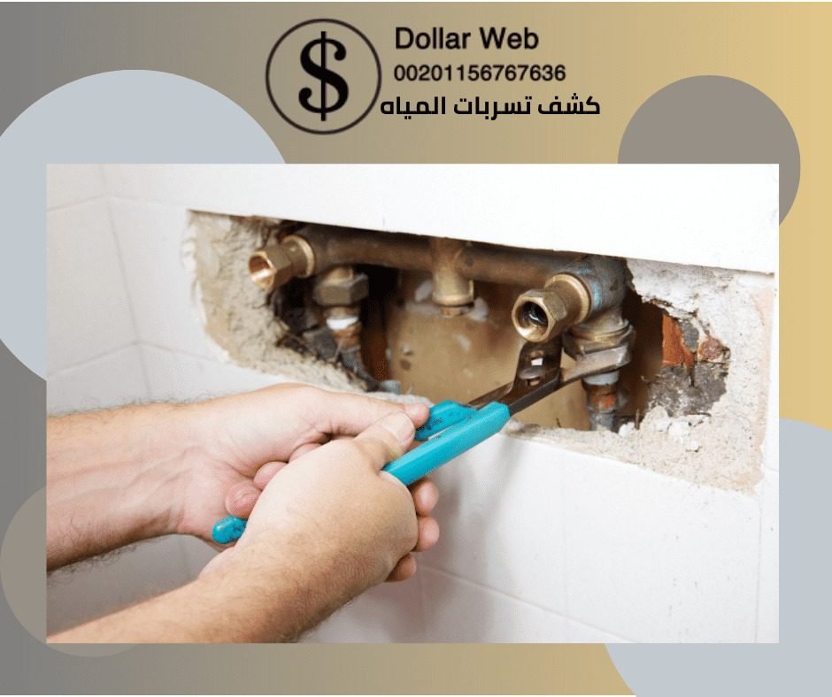 كشف تسربات المياة حي النخيل