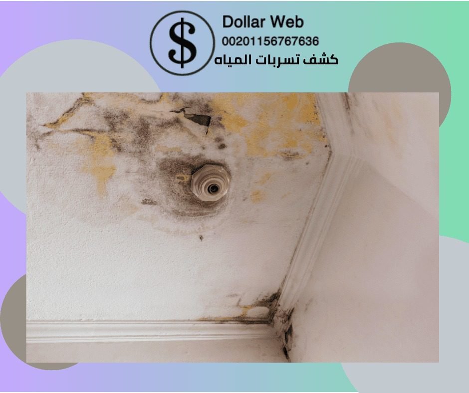 كشف تسربات المياة حي السليمانية