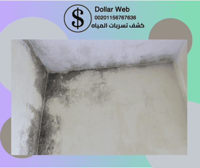 كشف تسربات المياة فى جدة